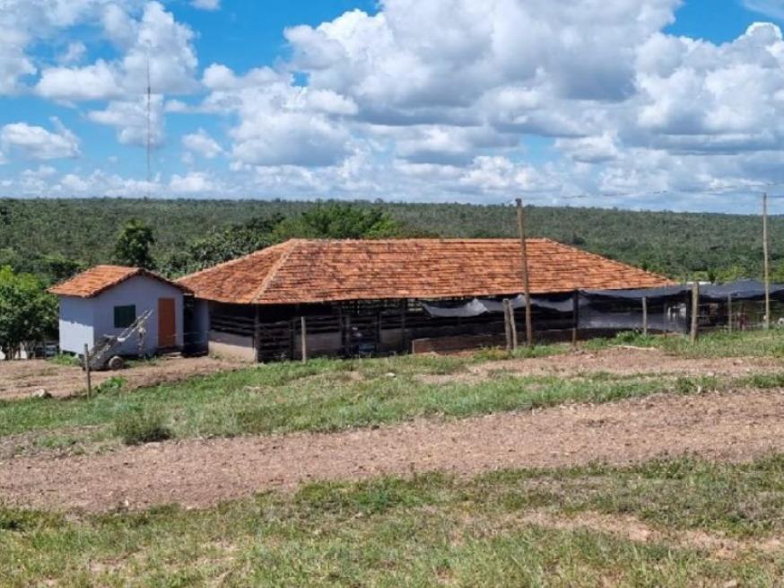 Foto ilustrativa 7 - Fazenda de 35,1369ha em Paracatu/MG