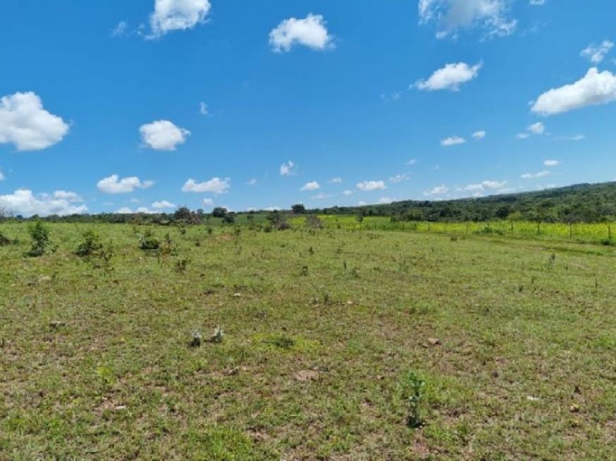 Foto ilustrativa 6 - Fazenda de 35,1369ha em Paracatu/MG