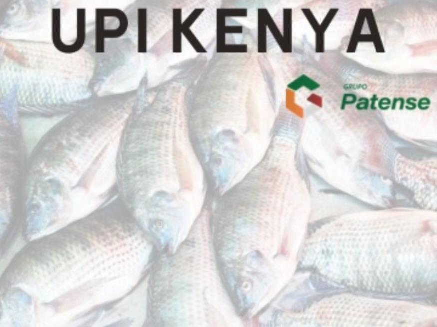Foto ilustrativa 1 - UPI Kenya – Grupo Patense