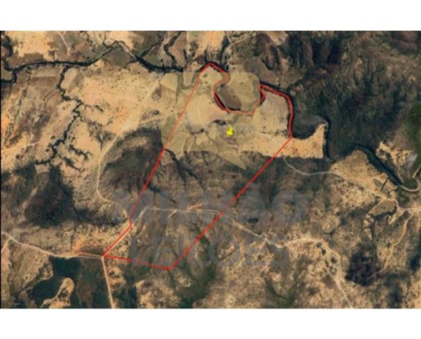 Foto de Imóvel de 128,19,89ha 