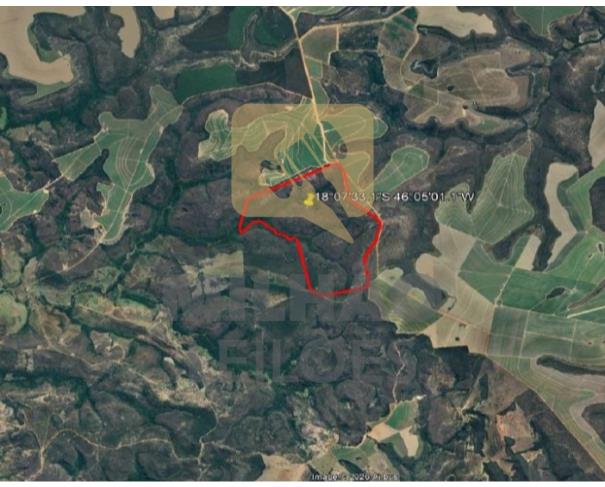 Foto de Fazenda de 250ha em Presidente Olegário