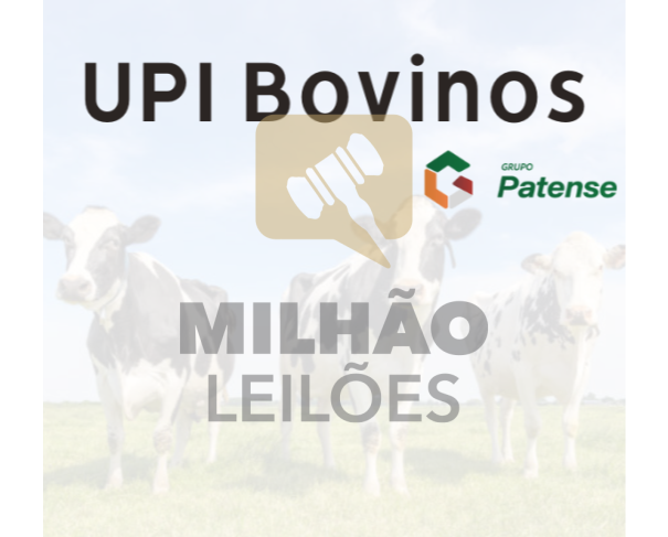 Foto de UPI Bovinos - Grupo Patense