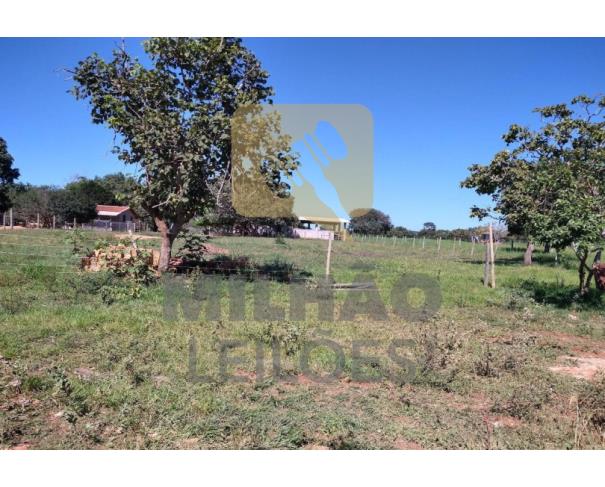 Foto de Fazenda de 27,87ha em Unaí/MG