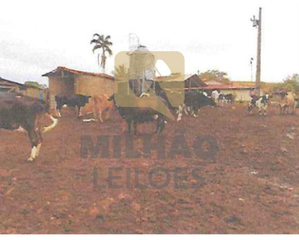 Foto de Fazenda de 35.25ha em Bom Sucesso