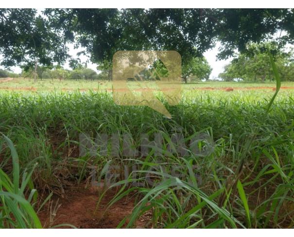 Foto de Fazenda de 27,87ha em Unaí/MG
