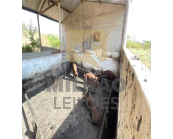 Foto de Lote de 24ha em Arinos/MG