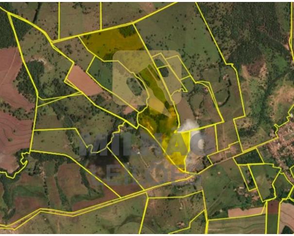 Foto de Fazenda de 35.25ha em Bom Sucesso