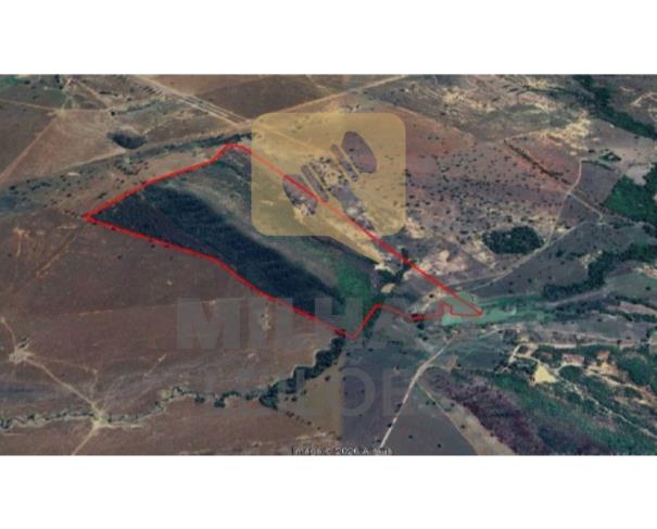 Foto de Fazenda de 75,34 ha em Unaí/MG