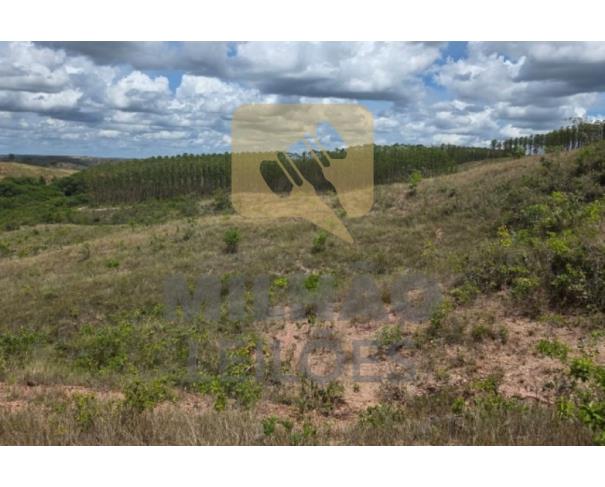 Foto de Fazenda de 122ha em Tiros/MG