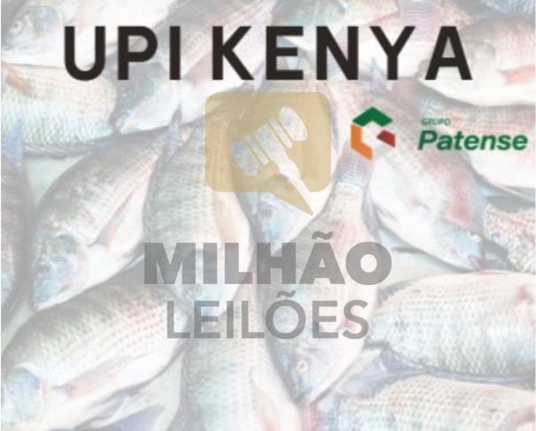 Foto de UPI Kenya - Grupo Patense