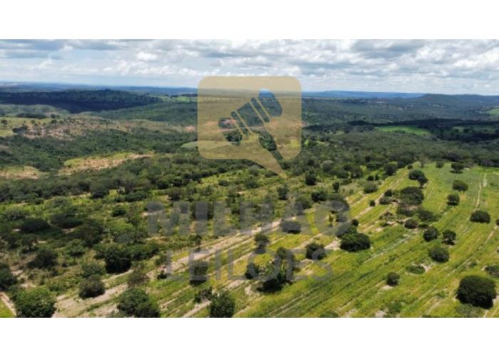 Imagem do imóvel 28372 Leilão Extrajudicial - Fazenda de 200 ha Terra Branca P.O
