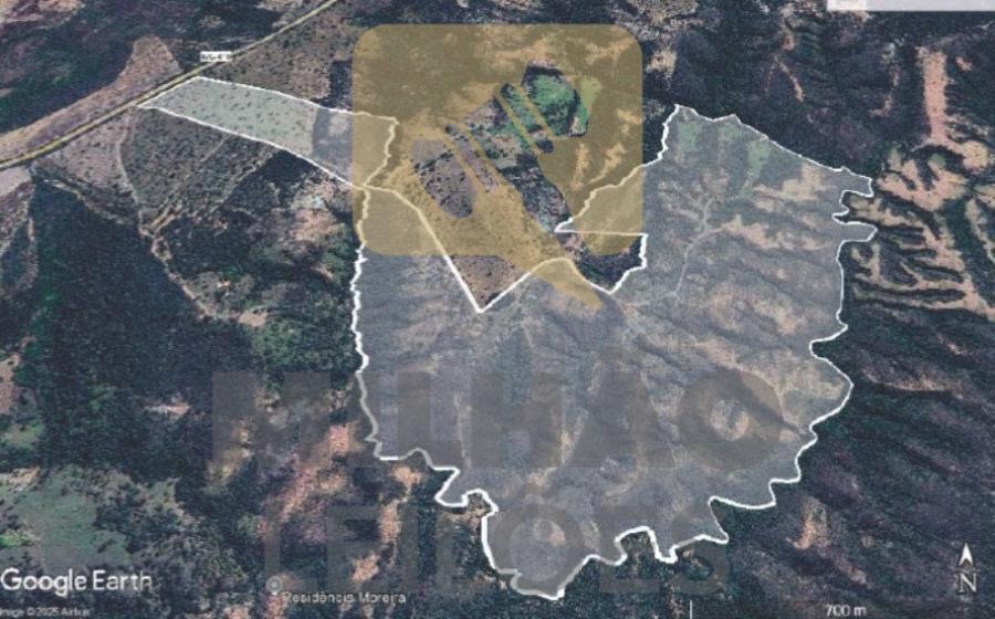 28372 Venda Direta - Fazenda de 200ha em Presidente Olegário, localizado em Presidente Olegário - MG