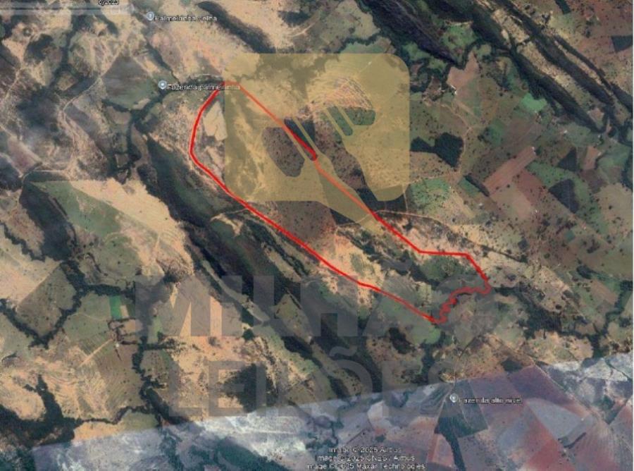 Imagem do imóvel Lote de 191,71,88ha em Unaí/MG Venda Direta 191,71,88ha na Fazenda Tapera