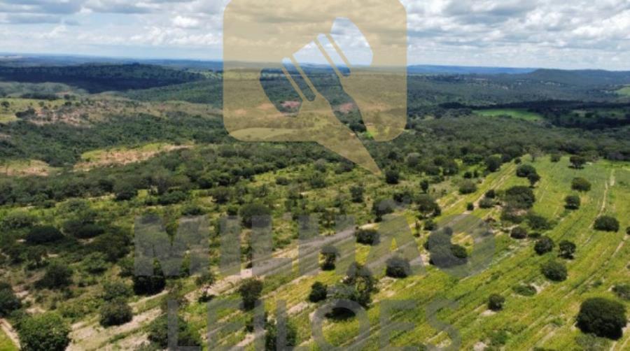 28372 Venda Direta - Fazenda de 200ha em Presidente Olegário, localizado em Presidente Olegário - MG