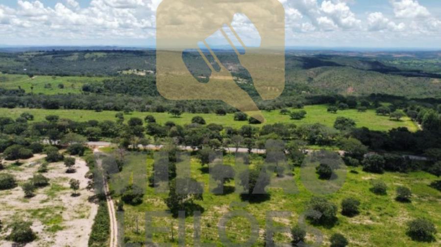 28372 Venda Direta - Fazenda de 200ha em Presidente Olegário, localizado em Presidente Olegário - MG