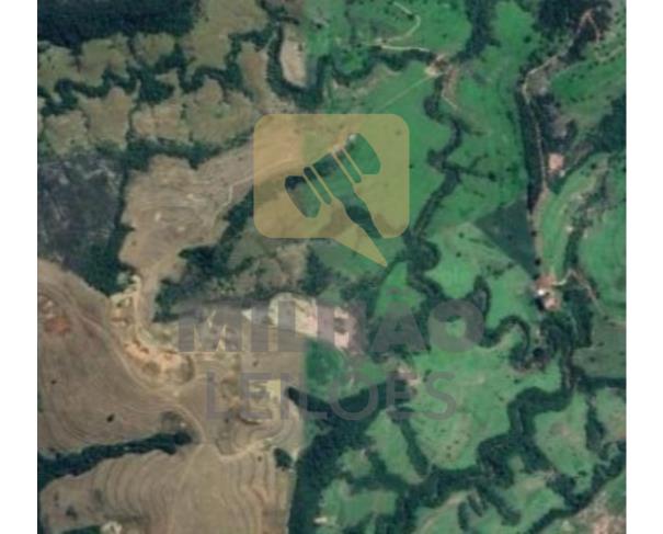 2,95 ha na Fazenda Confusão